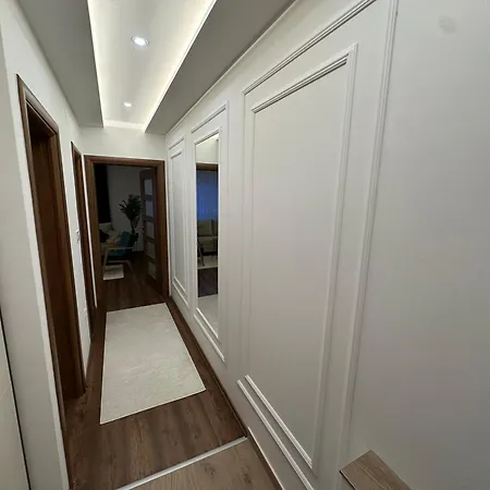 Elit Lux Pale